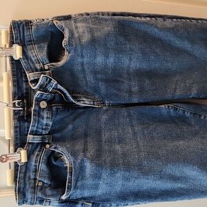 Talbots Classic Blue Jeans